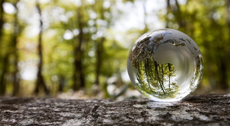 Bola del mundo de cristal en medio de un bosque