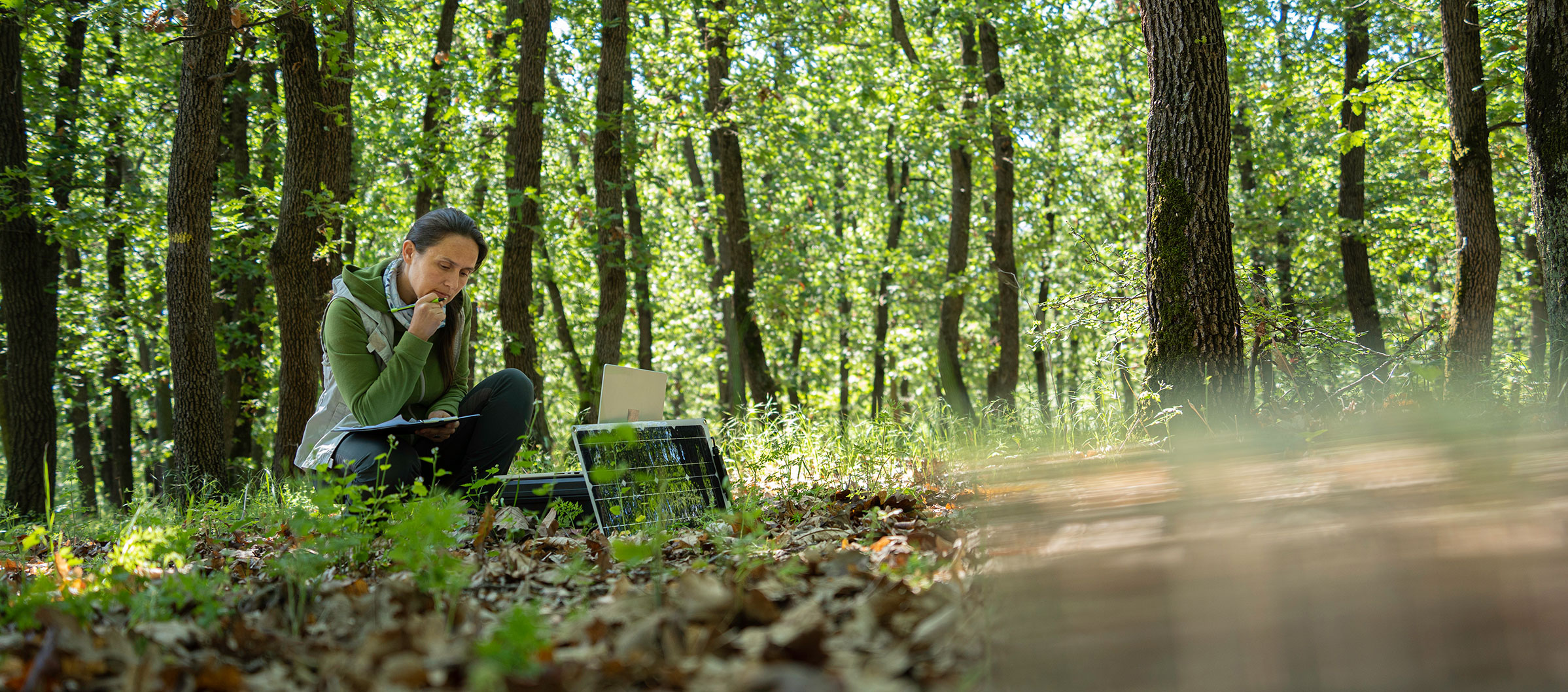 biodeivesidad-y-tecnologia-1
